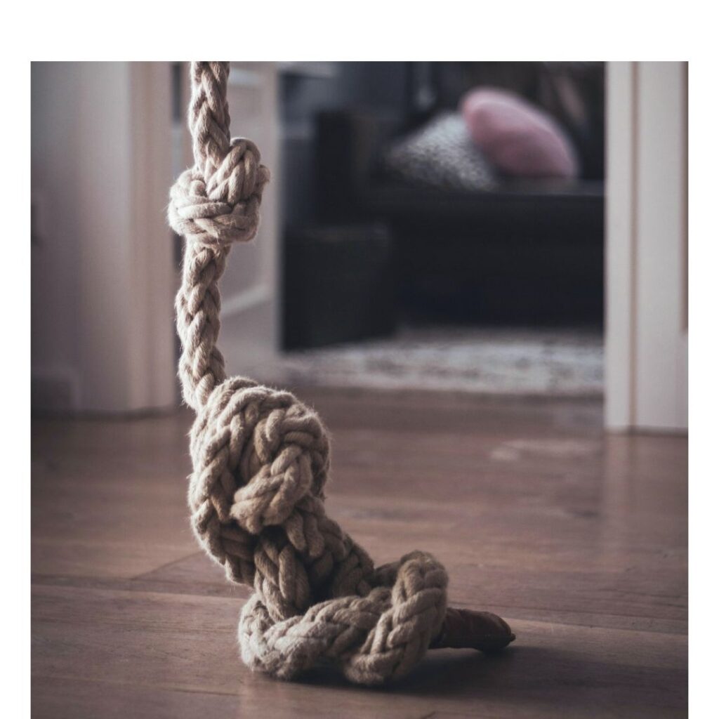 Davu’s Cord